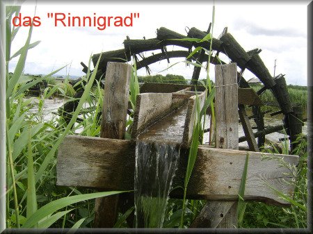 das "Rinnigrad" bei Oberndorf